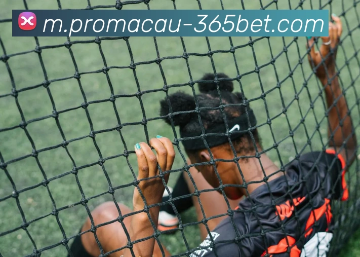 365betAPP 体育赛事宣传图